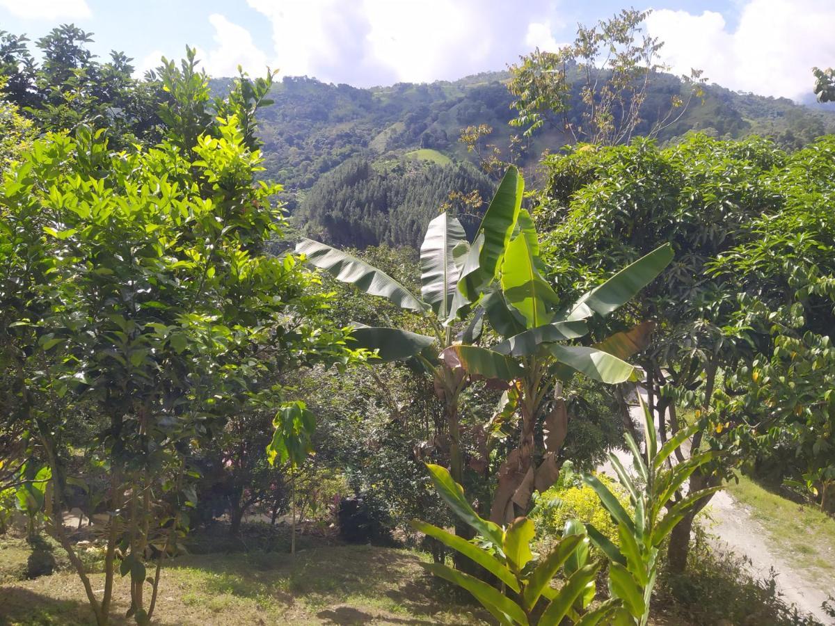 Eco Aldea Topacio Сасайма Екстер'єр фото