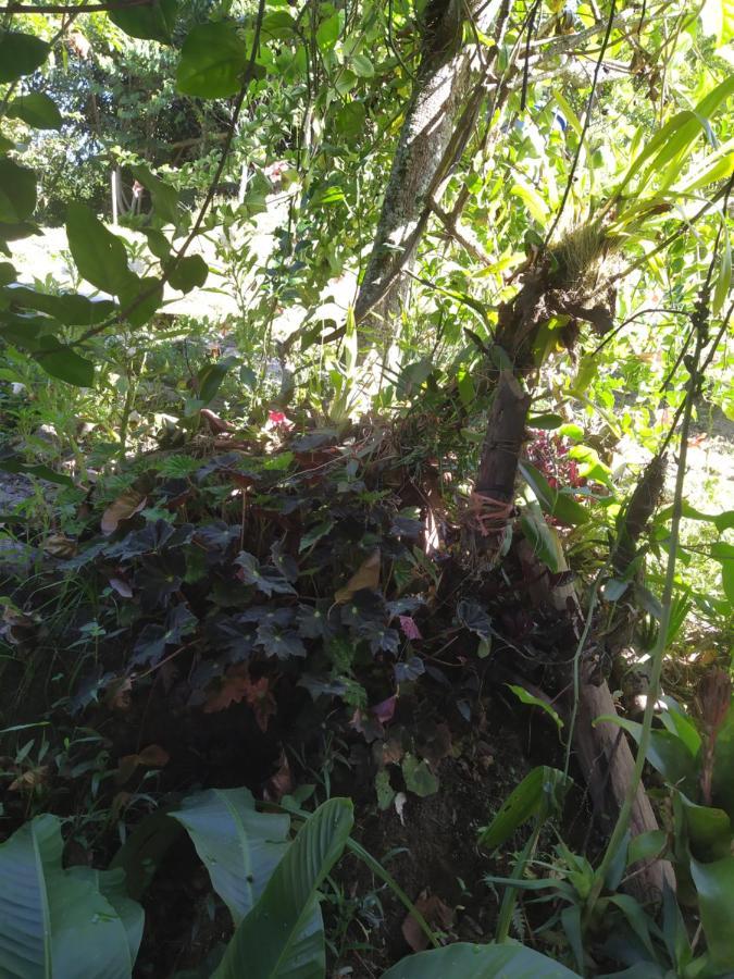 Eco Aldea Topacio Сасайма Екстер'єр фото