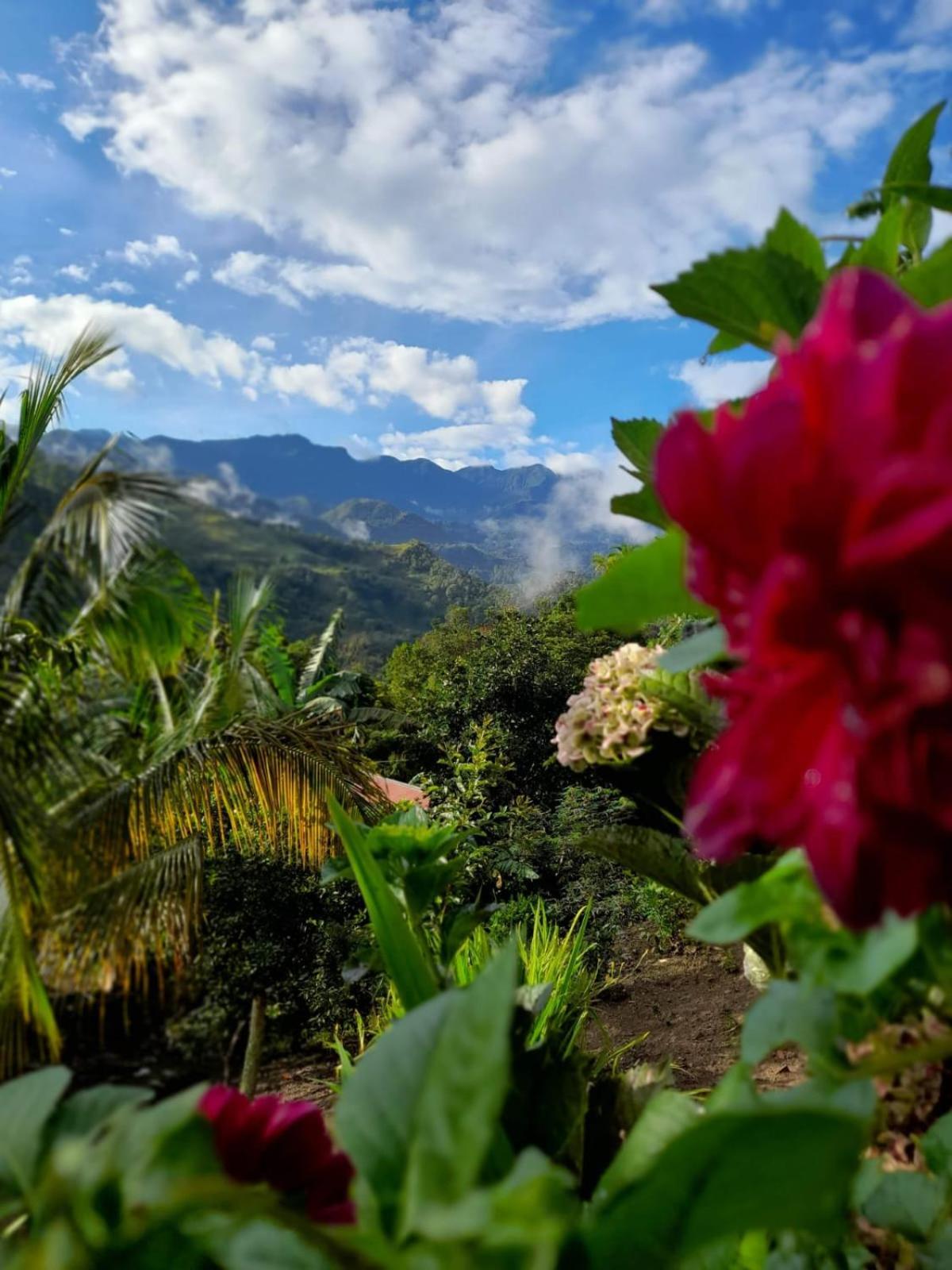 Eco Aldea Topacio Сасайма Екстер'єр фото